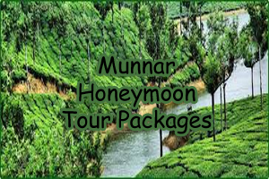 Munnar Honeymoon Tour Packages