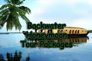 Backwater Honeymoon Tour Packages