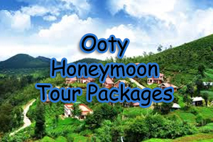 Ooty Honeymoon Tour Packages