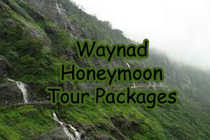 Waynad Honeymoon Tour Packages