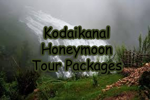 Kodaikanal Honeymoon Tour Packages